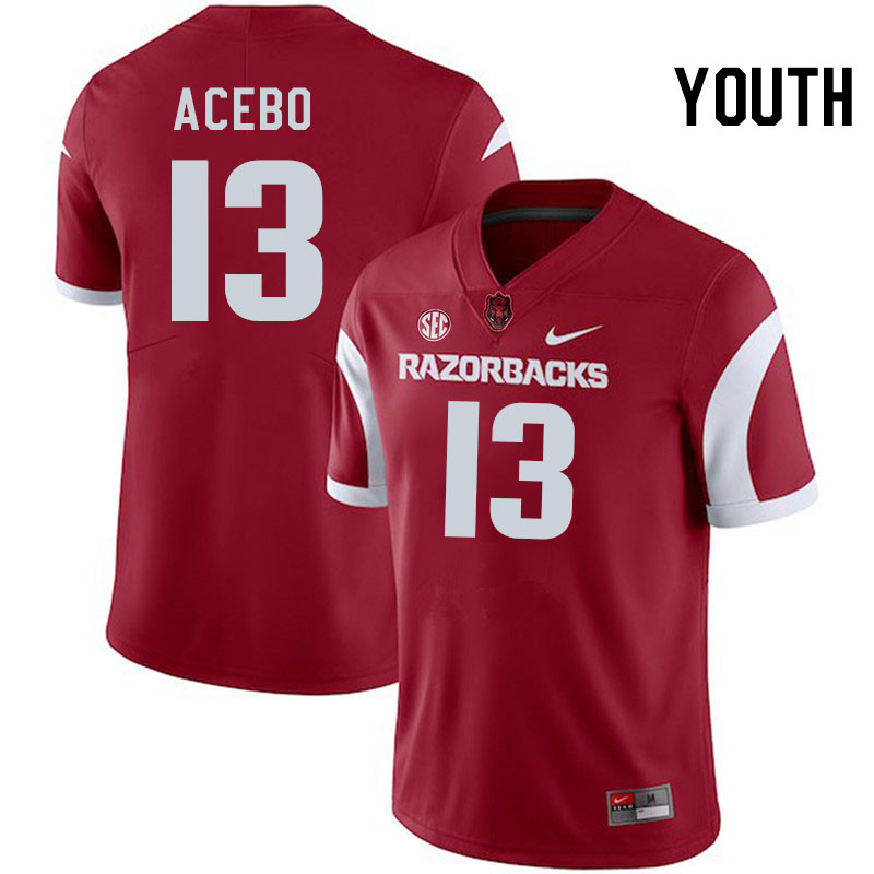 Youth #13 Rykar Acebo Arkansas Razorbacks College Football Jerseys Stitched-Cardinal